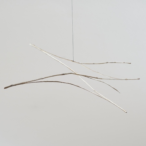Daniel Steegmann Mangrané, Árvore Multiplicada (Multiplied Tree), 2012, Geschnittener Sibipiruna Ast, Schnur.